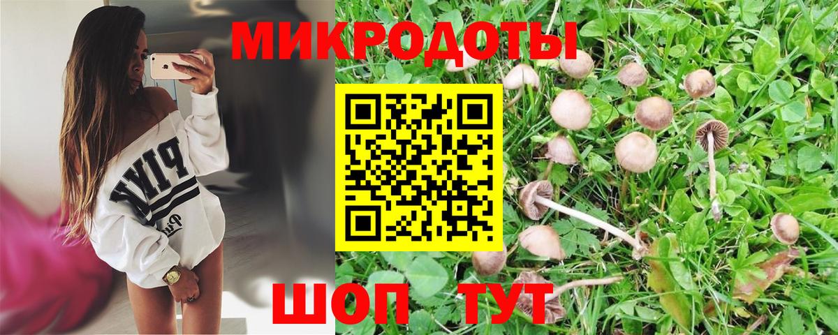Галлюциногенные грибы MAGIC MUSHROOMS Вичуга