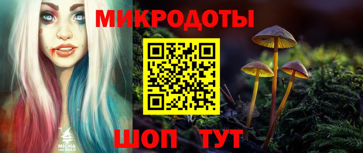 Вичуга  купить  цена  Вход с VPN  Галлюциногенные грибы мицелий 